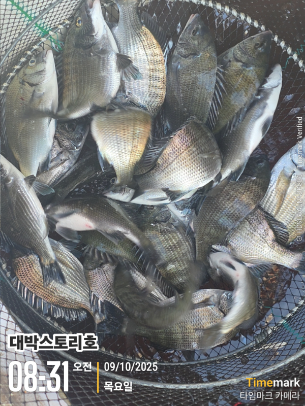 2025-10-09 08.31.40__(대박스토리호).jpg