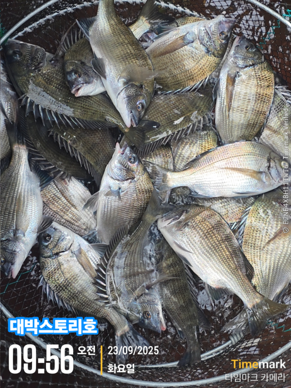 2025-09-23 09.56.49__(대박스토리호).jpg