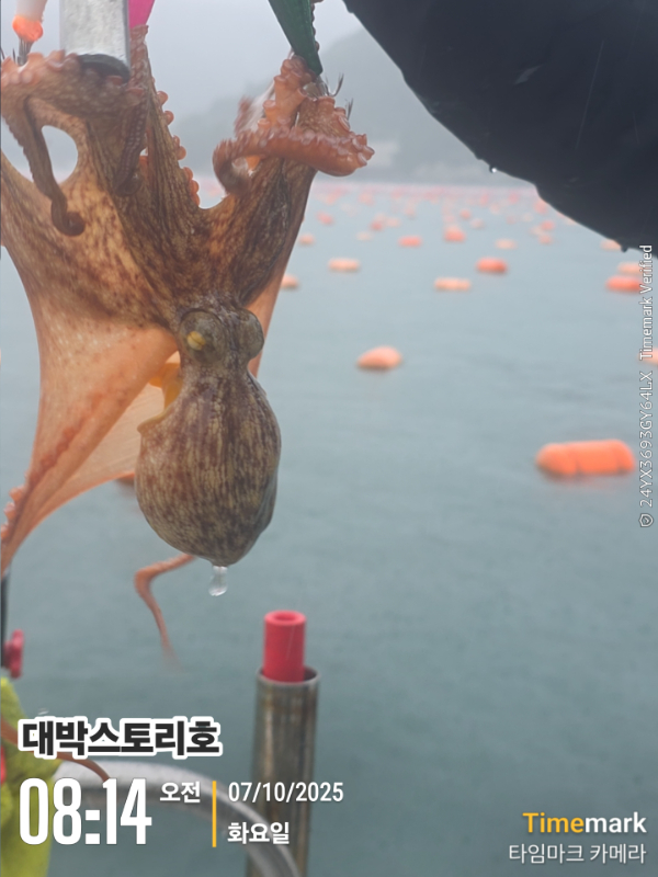 2025-10-07 08.14.22__(대박스토리호).jpg