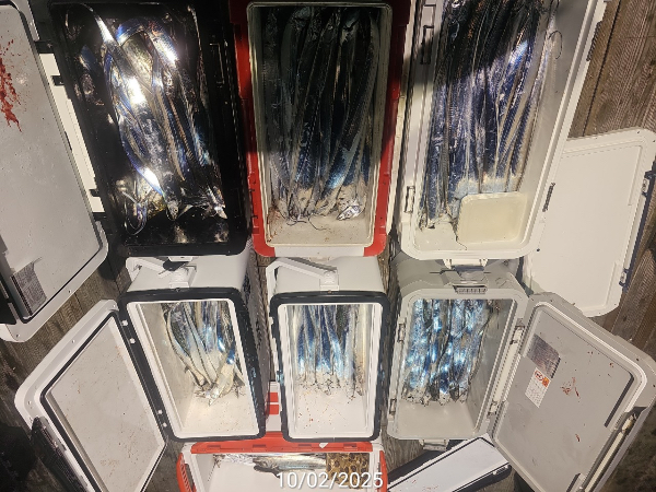 8B45D872-1A6D-41C7-B2CA-D6E7D78FCCDA.jpeg