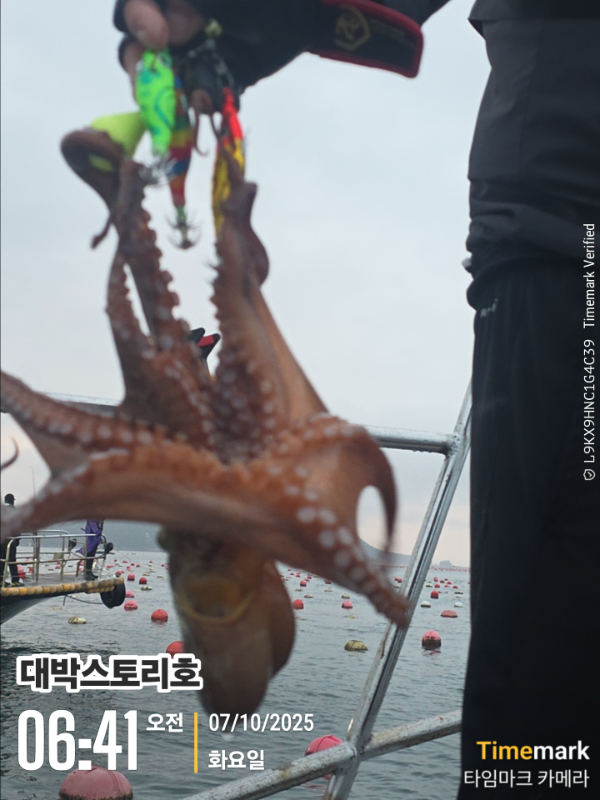 2025-10-07 06.41.25__(대박스토리호).jpg