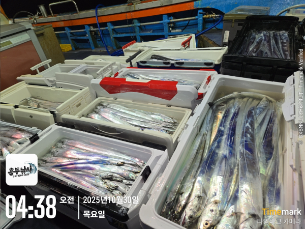 2025-10-30 04.38.23_.jpg