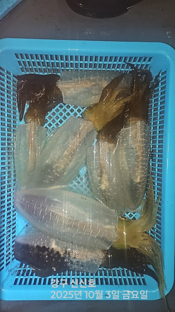 신신낚시 강구점 신신호_사진_20251004_4.jpg