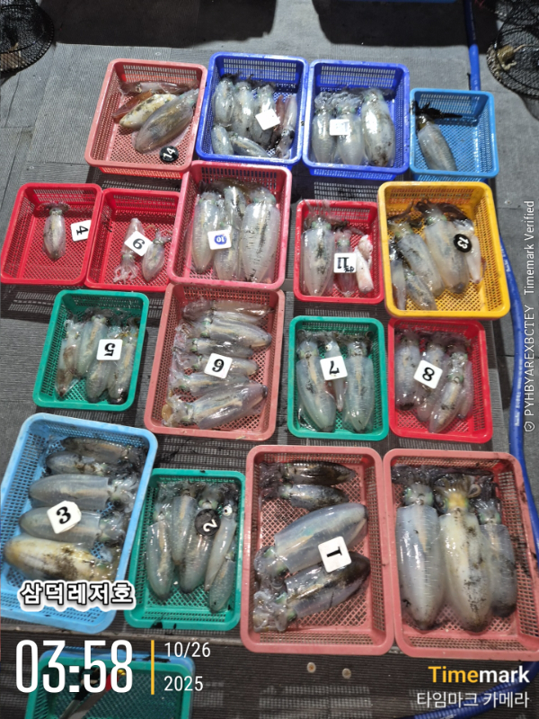 2025-10-26 03.58.25_.jpg