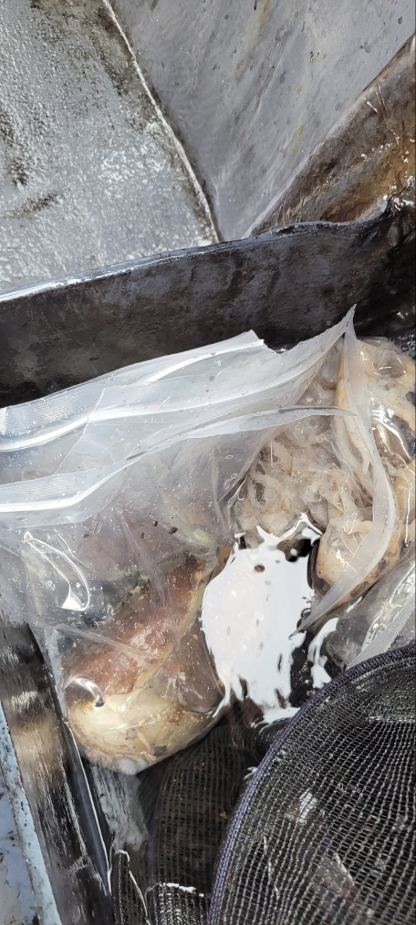 예지퀸호 농어외수질&어초낚시 경기인천권_사진_20251018_15.jpg