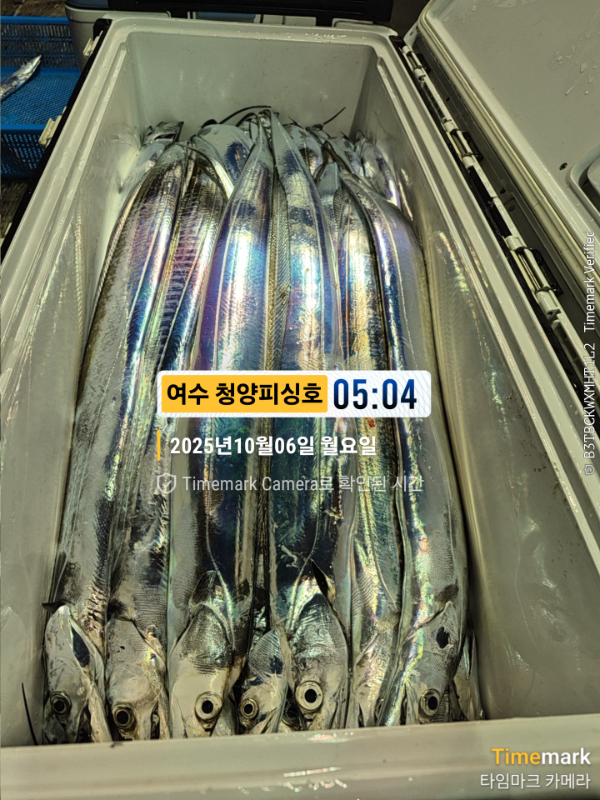 2025-10-06 05.04.04__(제목-여수 청양피싱호).jpg