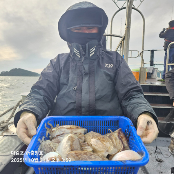 ꫛꫀꪝ✧‧˚ 태안 마검포 新출항호 .• _˚☀₊_사진_20251021_16.jpg