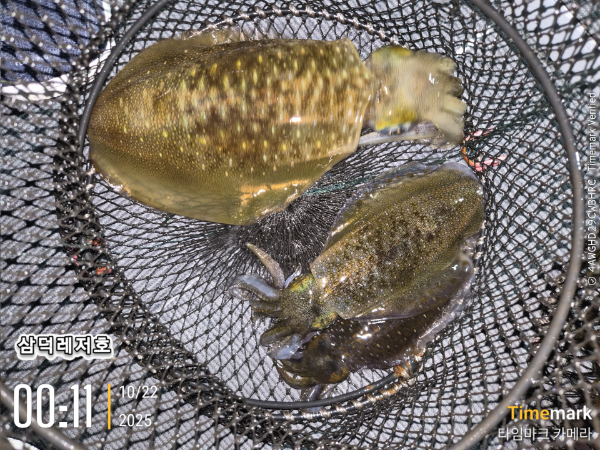 2025-10-22 00.11.33_.jpg