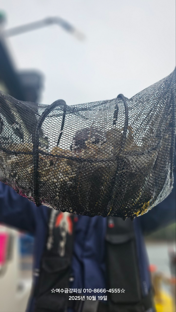 여수금강피싱_사진_20251019_12.jpg