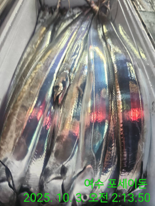 fd443ab614f1afa659c51df144adbf40.jpg
