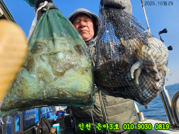 10월29 3호 (16).jpg