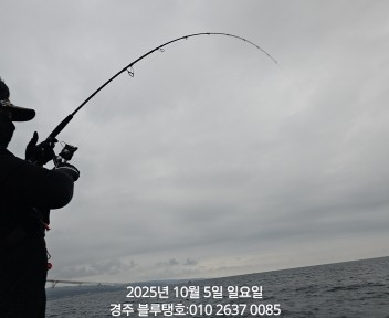 20251005_162951.jpg