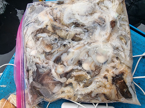 인천쭈꾸미낚시 (14).jpg