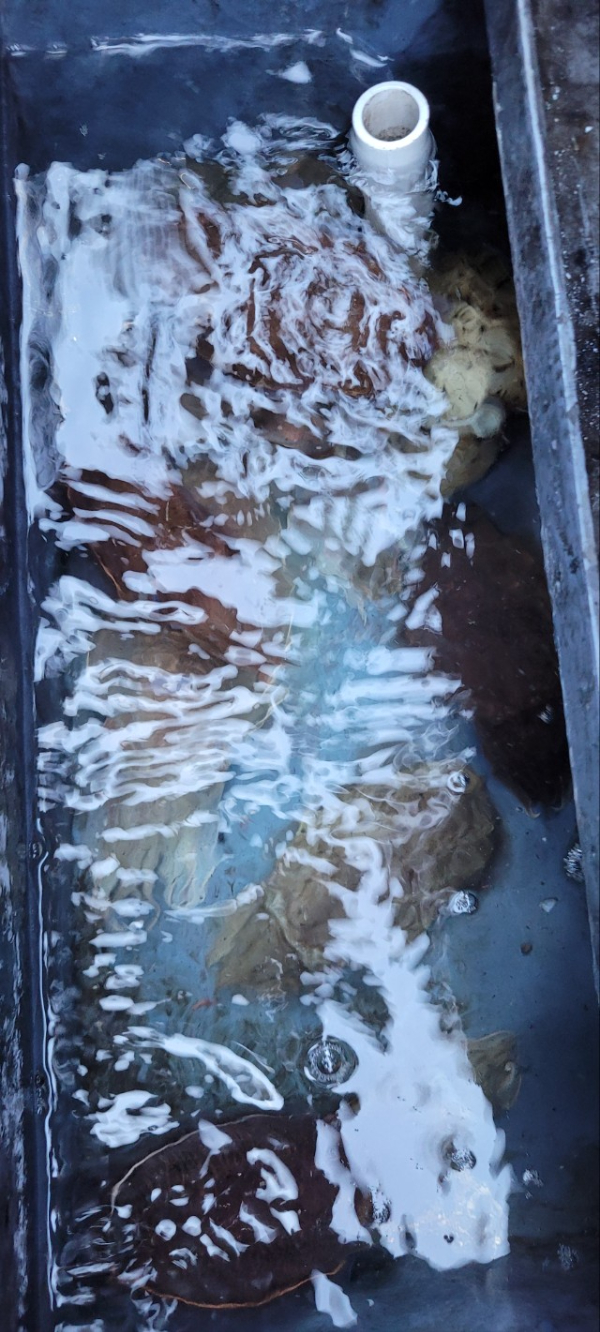 예지퀸호 농어외수질&어초낚시 경기인천권_사진_20251026_12.jpg