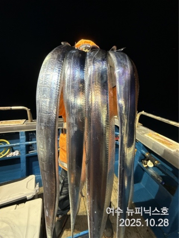 20910월29일갈치 (48).jpg