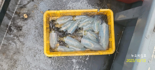 DateCamera1013093716.jpg