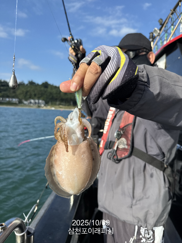 삼천포 이래피싱_01099.jpeg