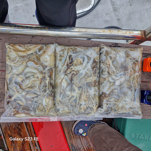 인천쭈꾸미낚시 (8).jpg