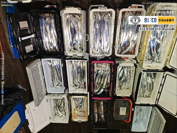 2025-10-18 03.18.10_대한민국_(제목-뉴블루마린호)_(예약전화 010 8924 3131).jpg