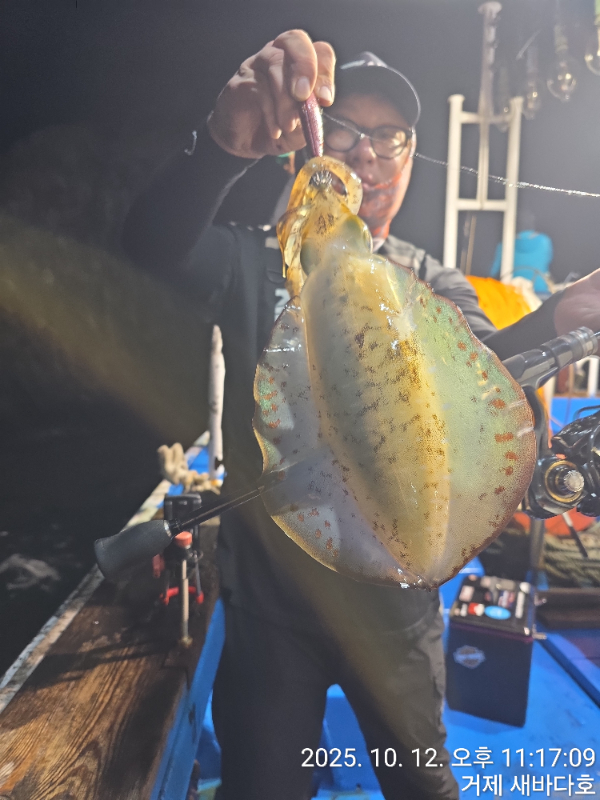 ff66b40583de3f28840fb166cf434df6.jpg