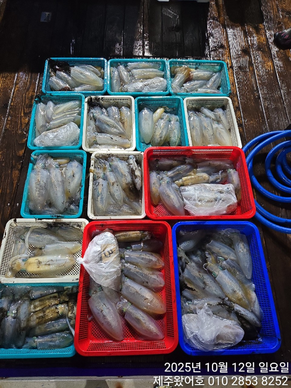 제주왔어호_사진_20251012_1.jpg