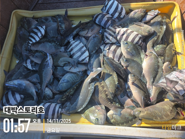 2025-11-14 01.57.49__(대박스토리호).jpg