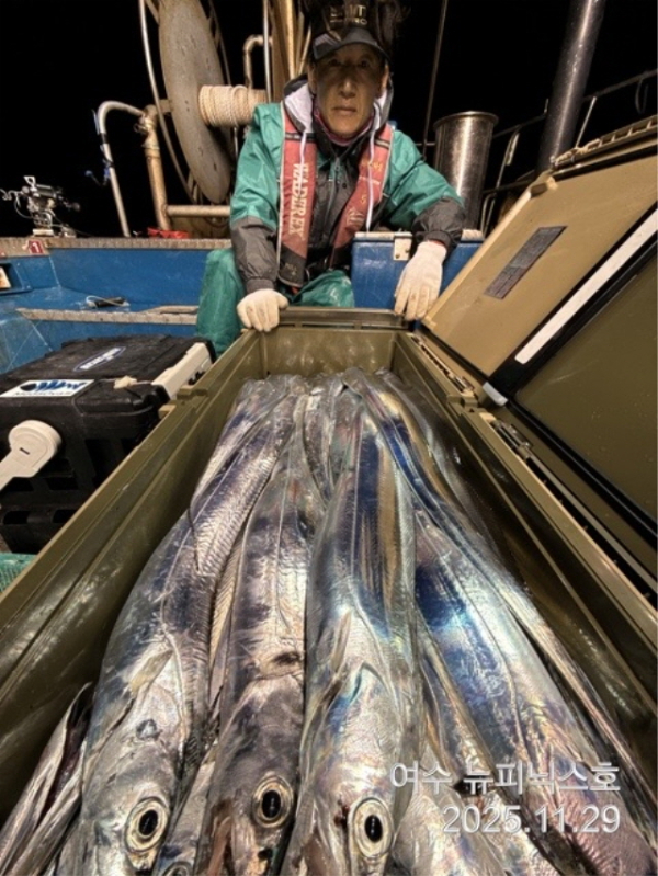20911월29일갈치 (13).jpg