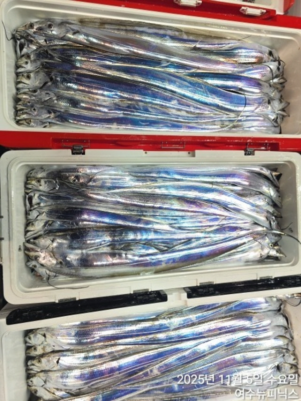 5일왕갈치 (4).jpg