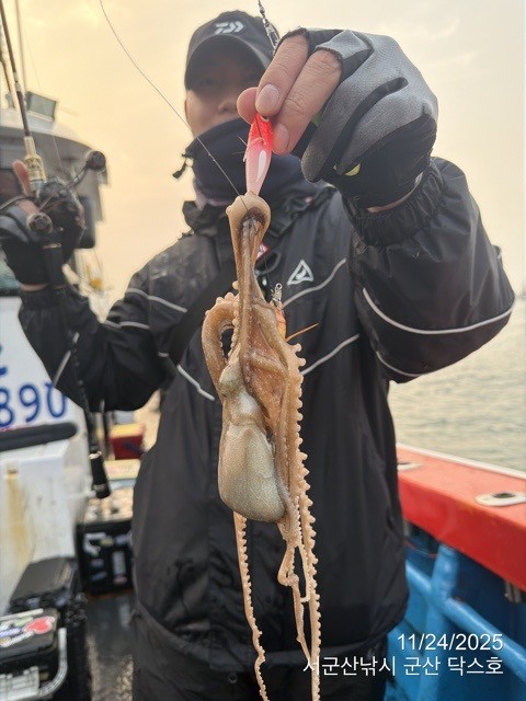 군산 선상낚시, 바다낚시 출조 전문 ☆서군산낚시☆_사진_20251124_9.jpg
