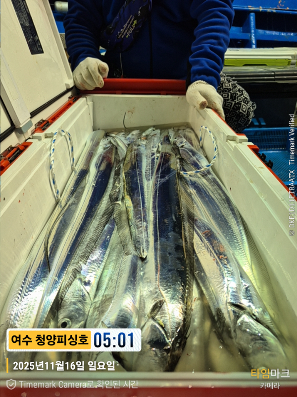 2025-11-16 05.01.36__(제목-여수 청양피싱호).jpg