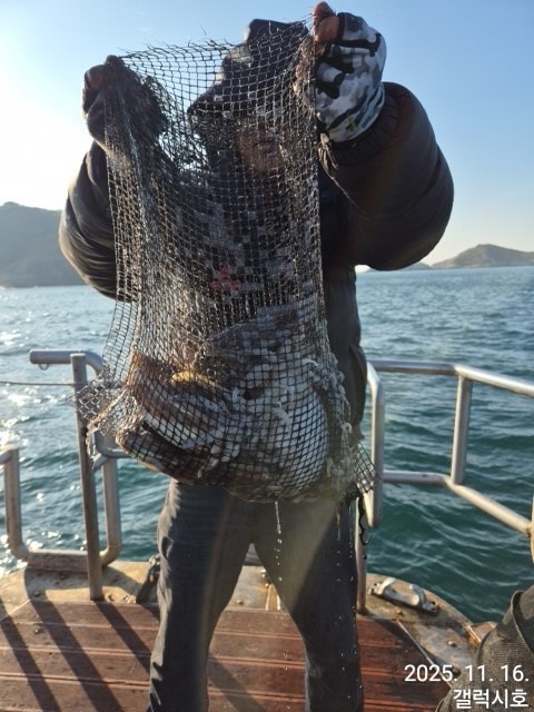 군산 선상낚시, 바다낚시 출조 전문 ☆서군산낚시☆_사진_20251116_6.jpg