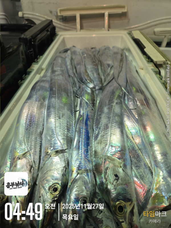 2025-11-27 04.49.29_.jpg