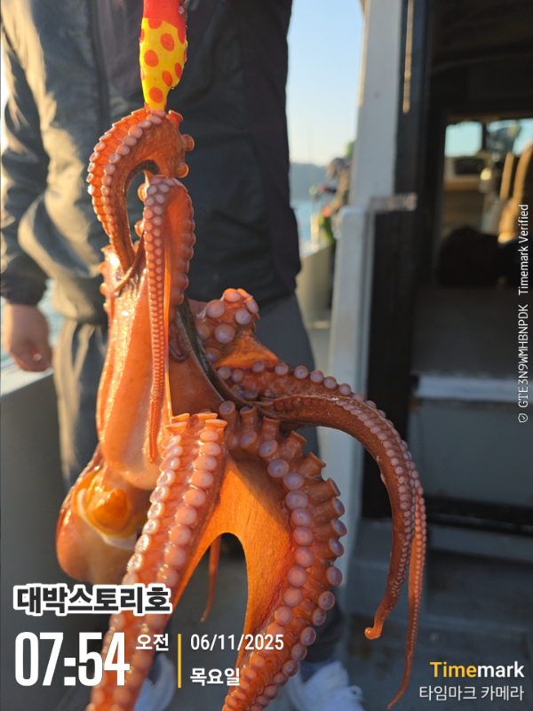2025-11-06 07.54.19__(대박스토리호).jpg