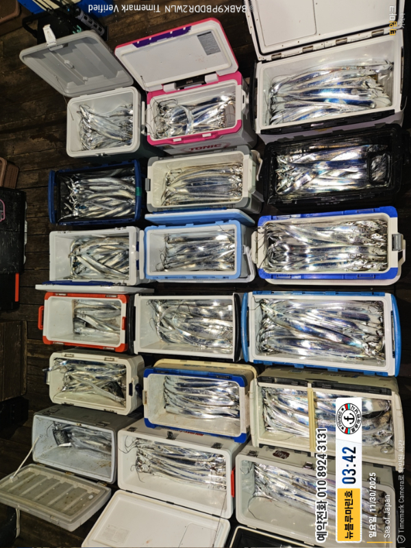 2025-11-30 03.42.03_Japan_(제목-뉴블루마린호)_(예약전화 010 8924 3131).jpg