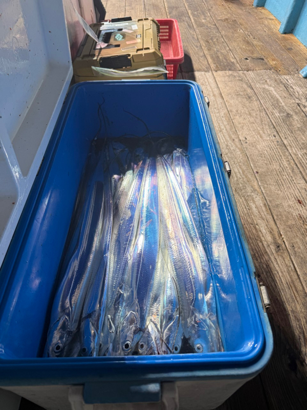 제주 쏘니호_사진_20251112_8.jpg