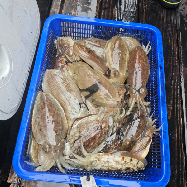 마검포 대한호(VIP)_사진_20251108_3.jpg