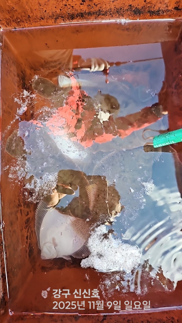 신신낚시 강구점 신신호_사진_20251109_10.jpg