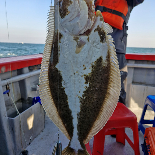 인천바다낚시 (2).jpg