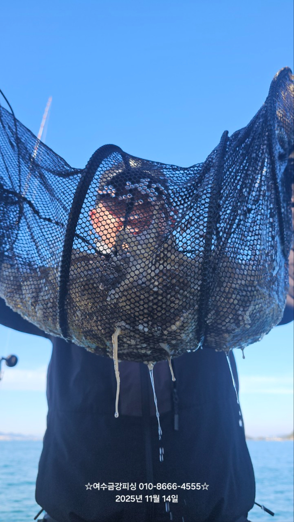 여수금강피싱_사진_20251115_21.jpg