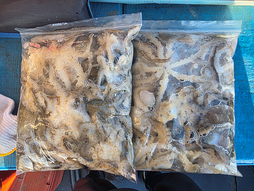 인천쭈꾸미낚시 (15).jpg