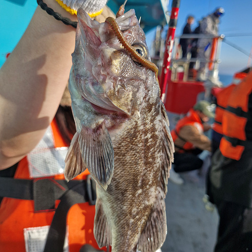 인천바다낚시 (15).jpg