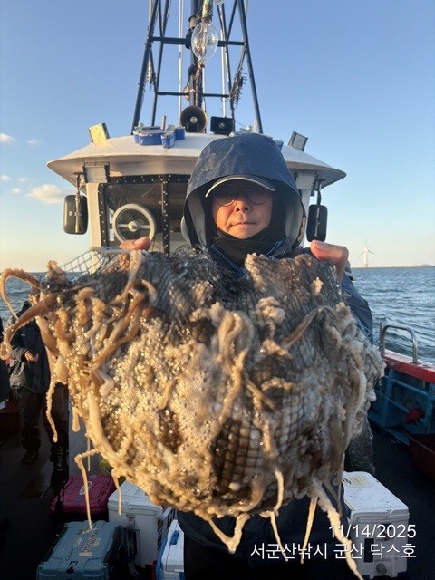 군산 선상낚시, 바다낚시 출조 전문 ☆서군산낚시☆_사진_20251114_6.jpg
