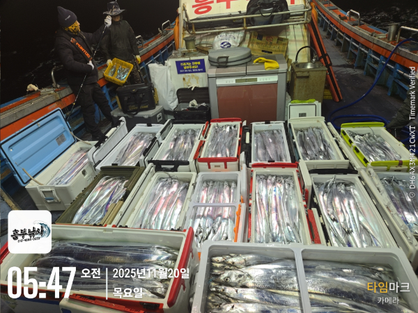 2025-11-20 05.47.53_.jpg