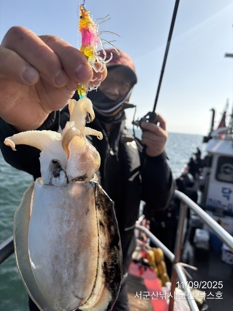군산 선상낚시, 바다낚시 출조 전문 ☆서군산낚시☆_사진_20251109_6.jpg