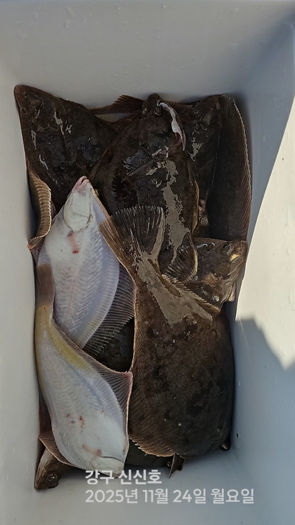 신신낚시 강구점 신신호_사진_20251124_13.jpg