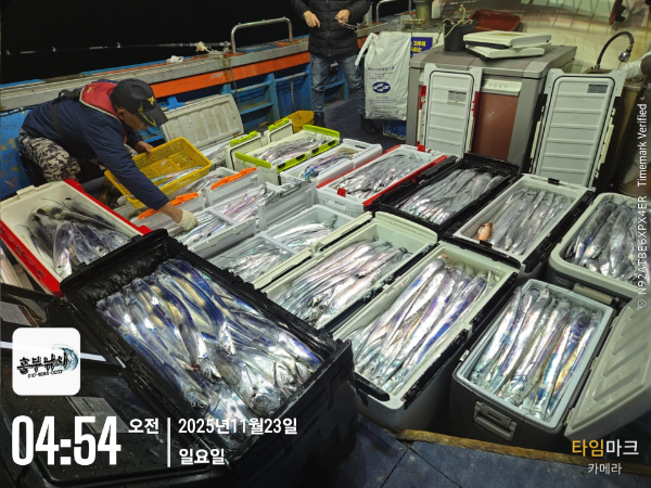 2025-11-23 04.54.52_.jpg