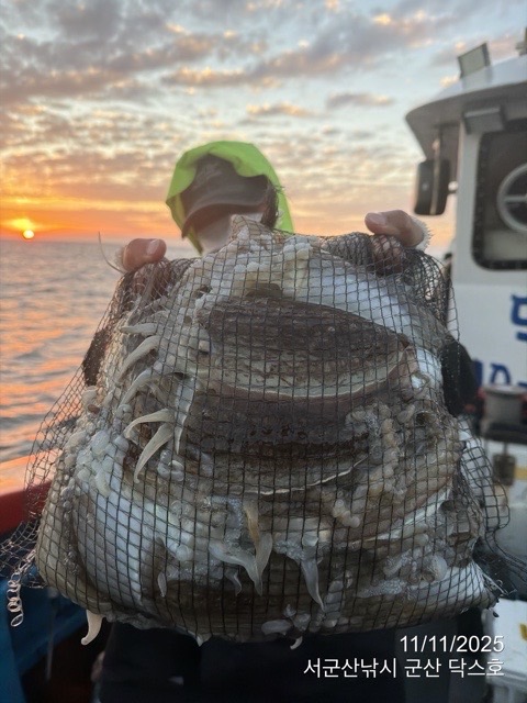 군산 선상낚시, 바다낚시 출조 전문 ☆서군산낚시☆_사진_20251111_3.jpg