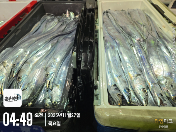 2025-11-27 04.49.24_.jpg