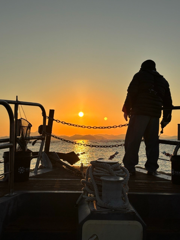 통영 메티스호_사진_20251120_7.jpg