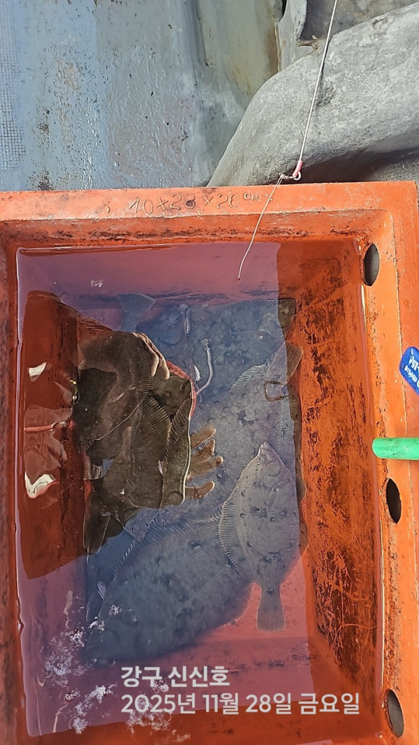 신신낚시 강구점 신신호_사진_20251128_9.jpg